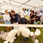 Fot. Piotr Wiśniewski