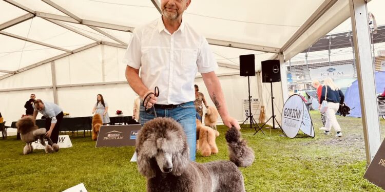 Ponad tysiąc czworonogów na V Międzynarodowej Wystawie Psów Rasowych