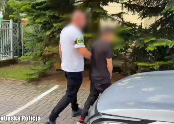Ucieczka przed policją. Zakazy prowadzenia. 19-latek trafi do więzienia