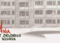 Ania z Zielonego Wzgórza zatańczy w Gorzowie