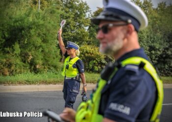 Bezpieczna droga z wakacji