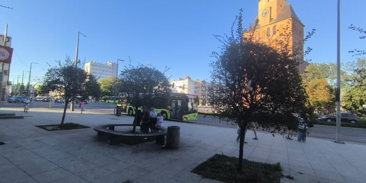 Nastolatka zaatakowna w centrum miasta