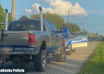 Aż 15 osób w pickupie. Kierowca dostał duży mandat i stracił prawo jazdy