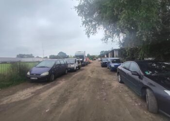 Ewa Iwańska / Gorzowskie Inwestycje Miejskie