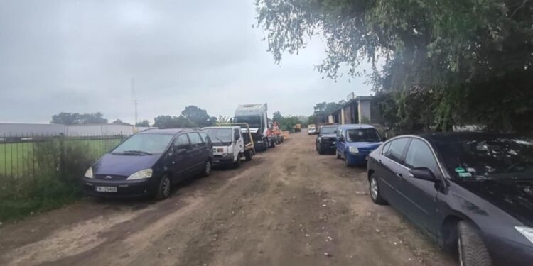 Ewa Iwańska / Gorzowskie Inwestycje Miejskie