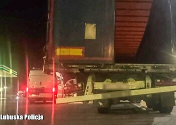 Mandat i zabrany dowód rejestracyjny