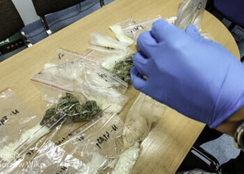 Marihuana, amfetamina, mefedron. 36-latek z Gorzowa za kratkami [WIDEO]