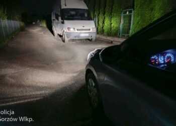 Wycinał katalizator, policjanci wyciągnęli go spod auta