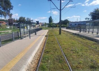 Zielone torowisko wzdłuż Pomorskiej