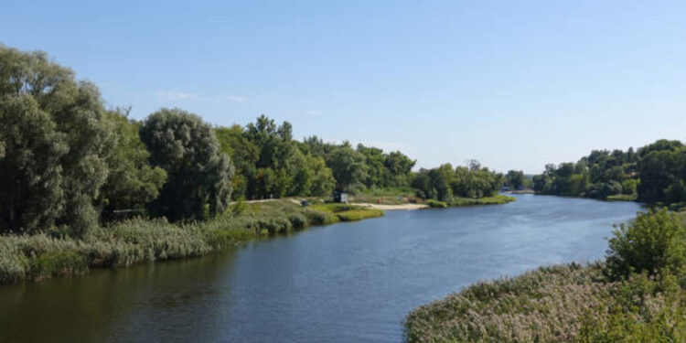 WIOŚ prowadzi prewencyjne obserwacje na Odrze