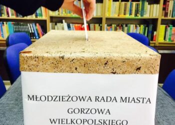 Młodzi radni podsumowują kadencję i zachęcają do głosowania