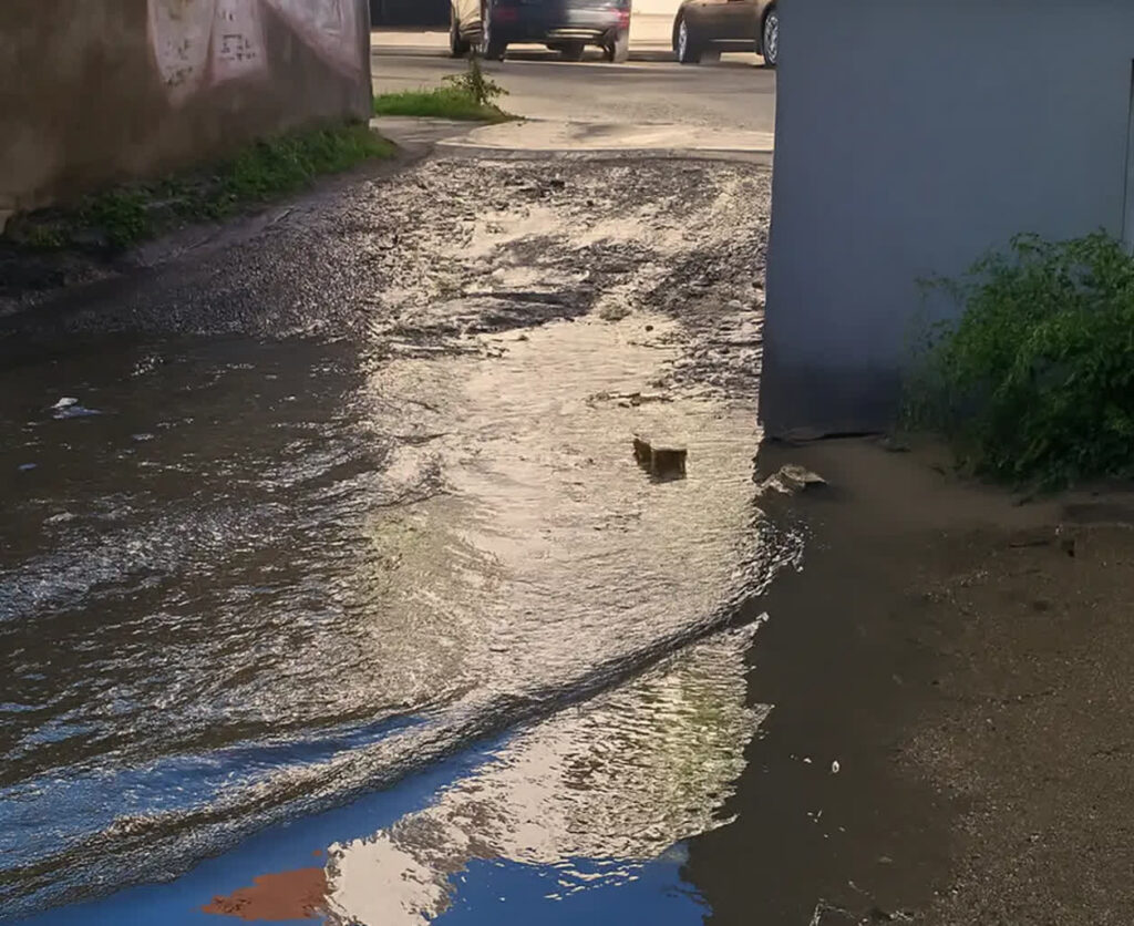 fot. telewizjagorzow.pl