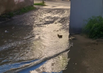 fot. telewizjagorzow.pl