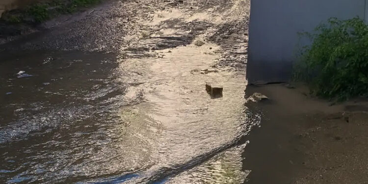 fot. telewizjagorzow.pl