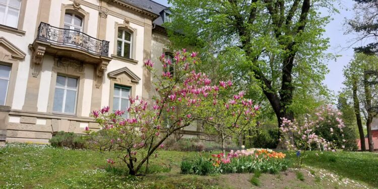 Przeżyjmy to jeszcze raz. J.Malczewski w gorzowskim muzeum.