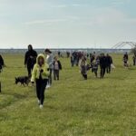 Stowarzyszenie Pomocy Zwierzętom "Azyl" - Schronisko Azorki Gorzów Wlkp. / www.facebook.com