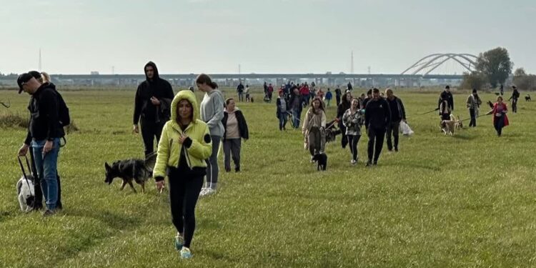 Stowarzyszenie Pomocy Zwierzętom "Azyl" - Schronisko Azorki Gorzów Wlkp. / www.facebook.com