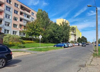 Minibusy na osiedlach. Rusza pilotażowy projekt