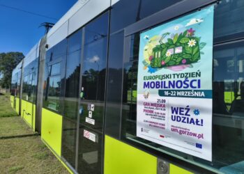 Gra miejska, piknik w zajezdni i darmowe przejazdy