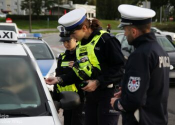 Taksówki pod lupą mundurowych