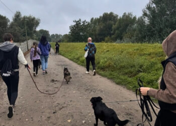 Ponad 6 tysięcy złotych zebrano dla schroniska w Gorzowie