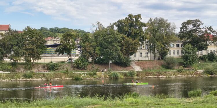 Młodzi kajakarze rywalizowali o mistrzostwo województwa