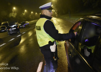 Akcja trzeźwości w Gorzowie. Trzy osoby zatrzymane