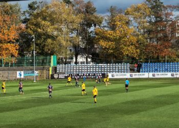Domowa zwycięska passa Warty trwa, Stal zepchnięta na ostatnie miejsce