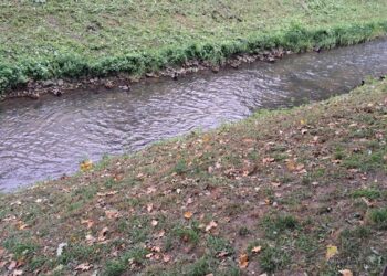 Akcja sprzątania Kłodawki w Gorzowie. Każdy może dołączyć