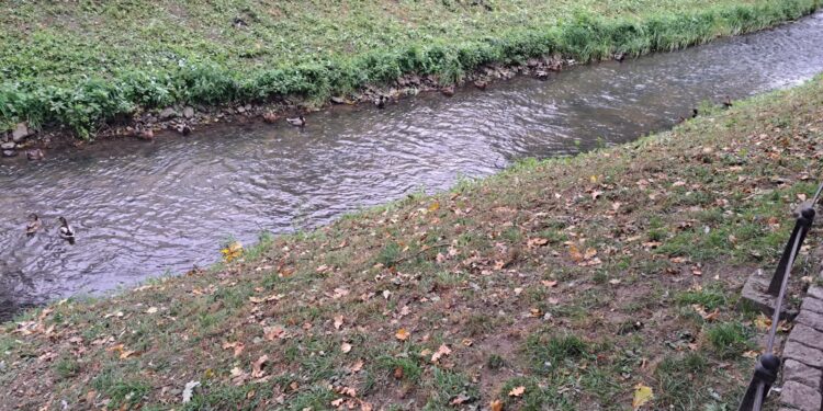 Akcja sprzątania Kłodawki w Gorzowie. Każdy może dołączyć