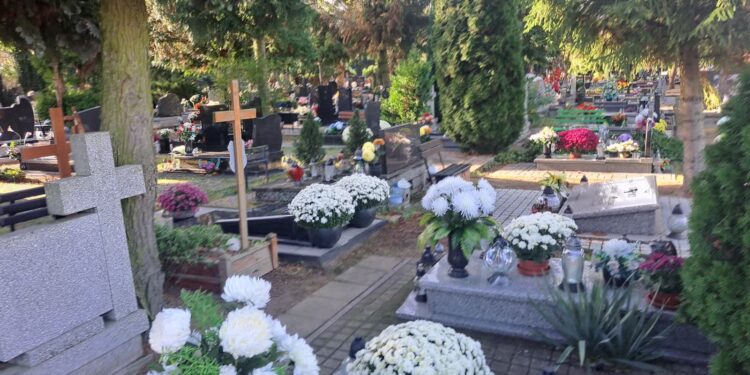 Ostatnie porządki na cmentarzu. Tłumy przy Żwirowej w Gorzowie