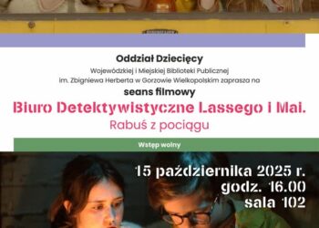 Pokaz filmowy w bibliotece