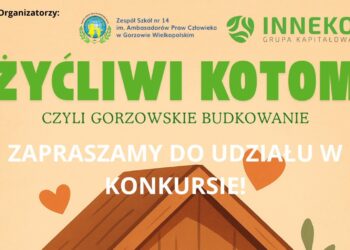 Zbuduj piękny dom dla bezdomnych kotów