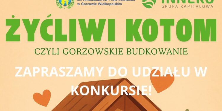 Zbuduj piękny dom dla bezdomnych kotów