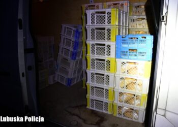 Ukradł busa z pieczywem