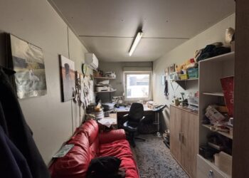 Azorki i wolontariusze czekają na nowy dom