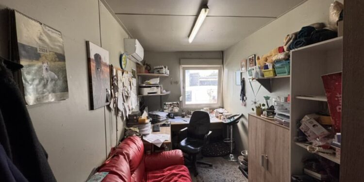 Azorki i wolontariusze czekają na nowy dom