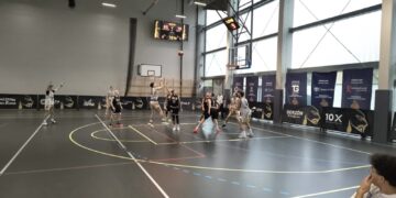 Wilki pożarły Kangoory