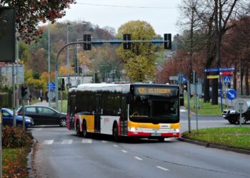 Od soboty więcej autobusów na cmentarz Komunalny