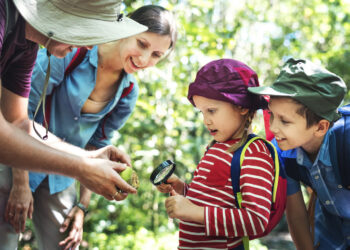 nauczyciele i szkoły wstrzymują wyjścia klasowe. MEN: analizujemy uwagi środowiska