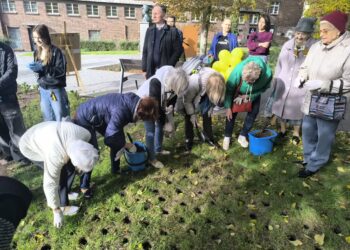 Pole Nadziei zakwitnie w Gorzowie