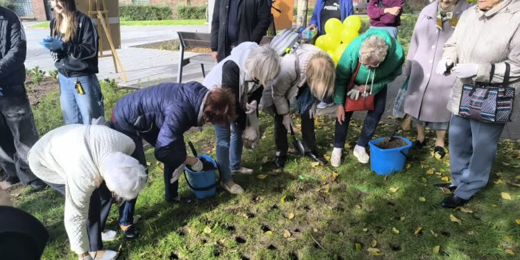 Pole Nadziei zakwitnie w Gorzowie