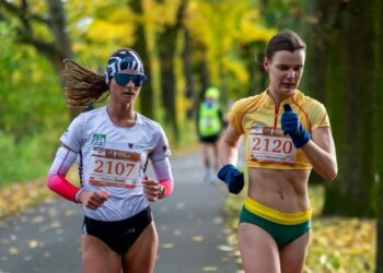 fot materiały organizatora