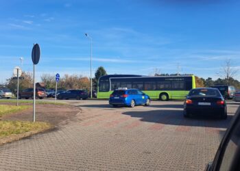 Na cmentarz przy Żwirowej najlepiej autobusem. Będą dodatkowe kursy