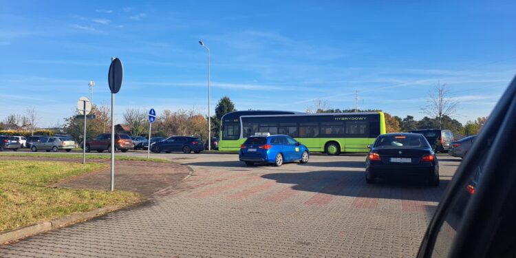 Na cmentarz przy Żwirowej najlepiej autobusem. Będą dodatkowe kursy