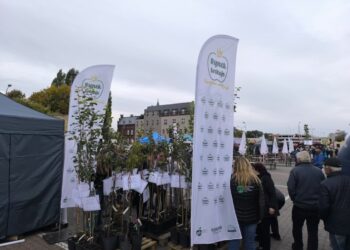 I Gorzowski Festiwal Renety Landsberskiej