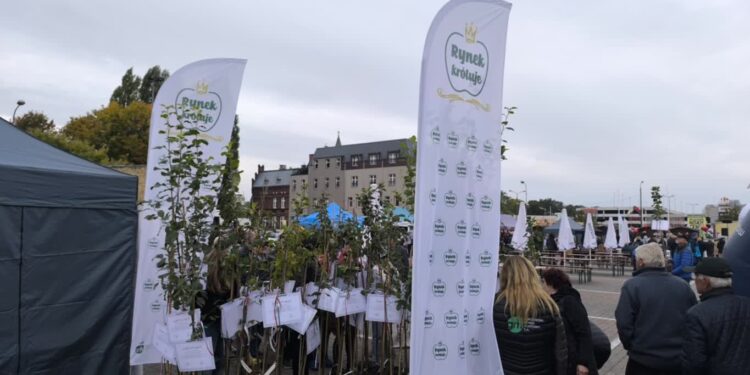 I Gorzowski Festiwal Renety Landsberskiej