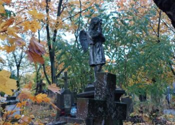 Nowe drzewa, a w planach lapidarium i ławki