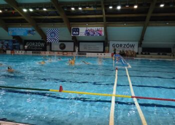 Mistrz Polski pokonany w Gorzowie Wlkp.