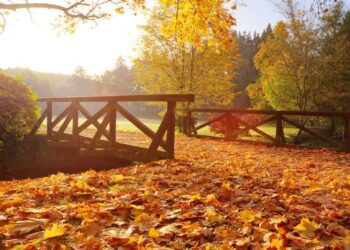 Muzeum Lubuskie / www.facebook.com